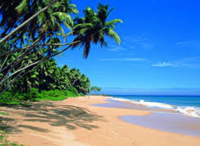 Enjoy Sri Lanka Tour