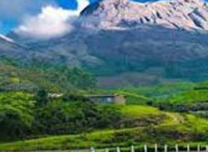 Darjeeling 05 Nights | 06 Days Tour