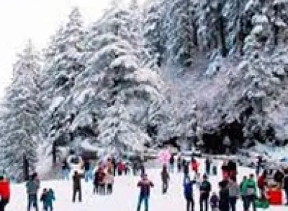 Amazing Shimla Tour
