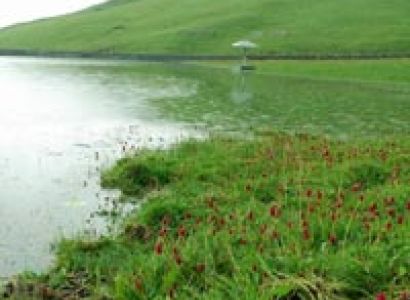 Trek To Dayara Bugyal, the alpine meadows at 10000 ft. Tour