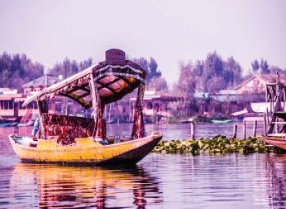 Classic Kerala 2024 (232338)