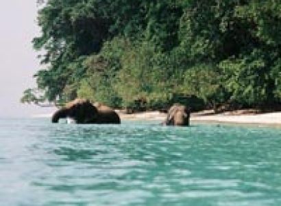 6 Days Port Blair & South Andaman Budget Holiday