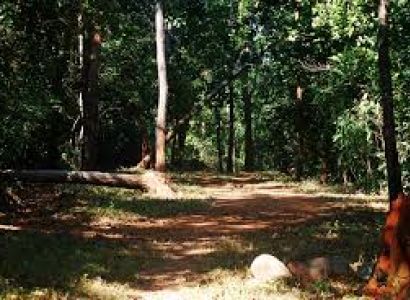 Kuldiha Forest Package Tour