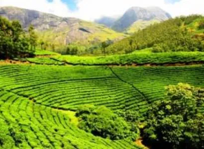 Exclusive Kerala Tour