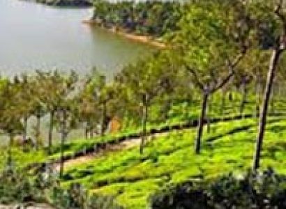 Places to visit in Kerala Tour