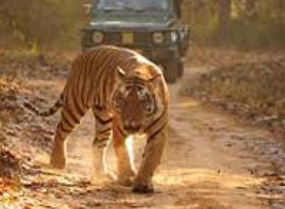Natural wonders in Madhya Pradesh Tour