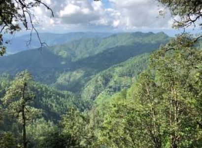 Binsar Bird Watchers, and Nature Lovers Tour  Package