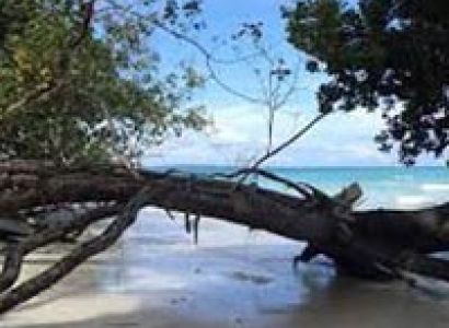 Andaman Tour - Baratang Excursion