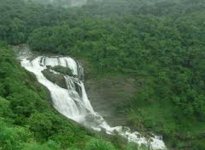 Coorg- Wayanad Tour