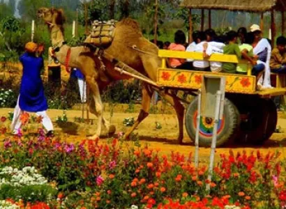 1 Day Tour To Pratap Garh Farms, Jhajjar With Dlx Bus, Breakfast & Lunch