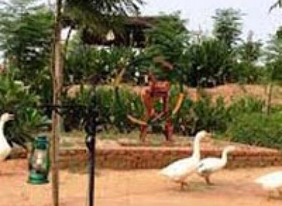 1 Day Tour To Lohagarh Farms, Gurgaon With Breakfast, Lunch & Dlx Bus