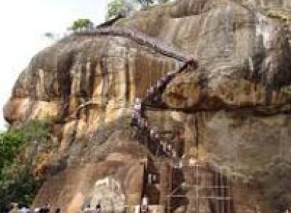 The Serendipity Tour