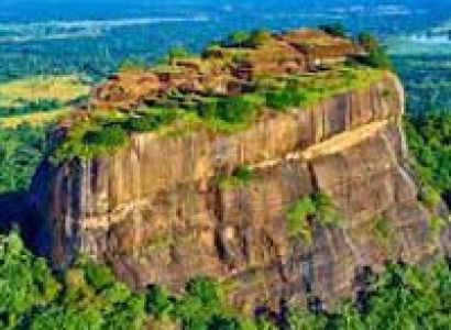 The Serendipity Tour