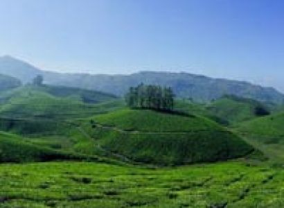 Misty Munnar Tour