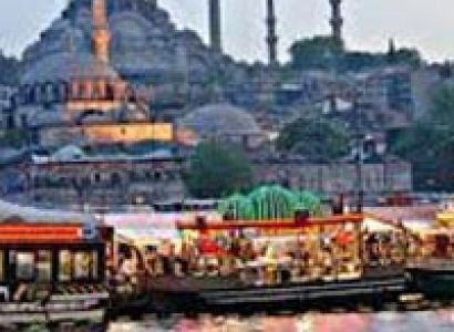 Indian Butterfly Of Turkey Tour