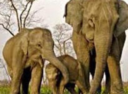 Splendors of North East Tour