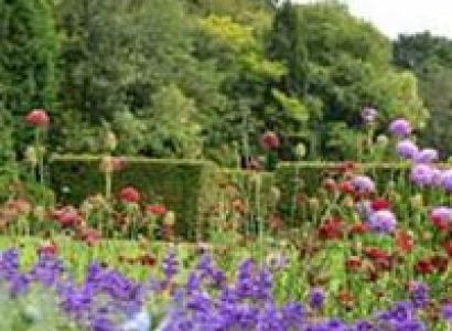 Darjeeling - Kalimpong Tour