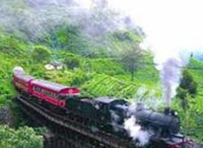 AMAZING SRI LANKA TOUR