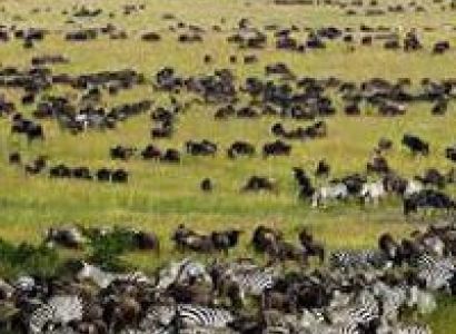 3-day - Masai - Mara - camping - safari Tour