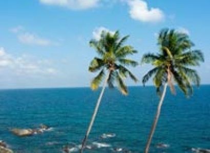 Discover Andaman With Neil Island Tour