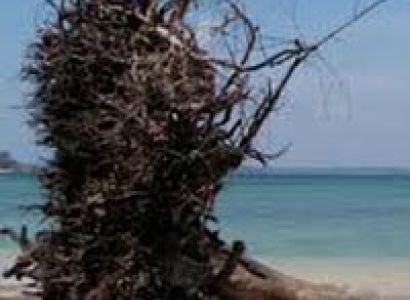 5 Nights 6 Days- Beautiful Andaman Tour