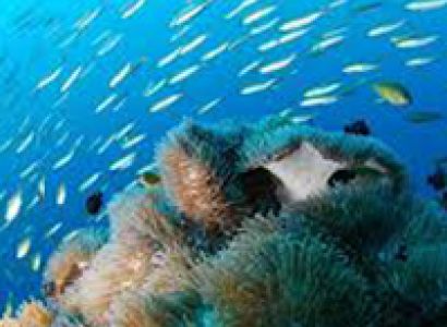 Port Blair, Havelock 4 Nights 5 Days Tour