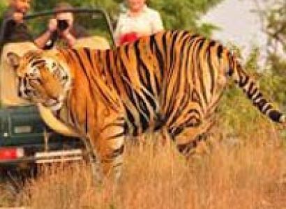 Rajasthan Wih Ranthambore Tour