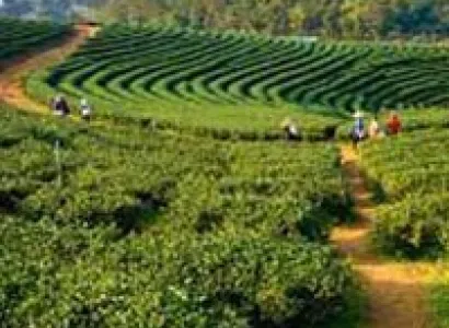 Sikkim Darjeeling 6N - 7D Trip Tour