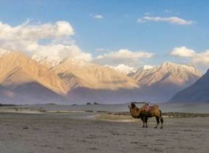 LEH LADAKH TOUR 3N / 4D