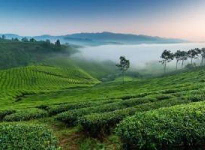 ASSAM – MEGHALAYA - 5 NIGHTS / 6 DAYS