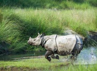 ASSAM – MEGHALAYA - KAZIRANGA 5 NIGHTS / 6 DAYS
