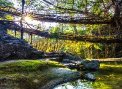 ASSAM – MEGHALAYA - LAITLUM CANYONS 4 NIGHTS / 5 DAYS