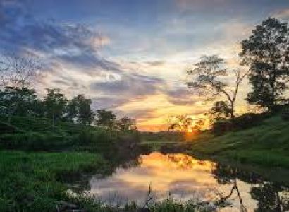 ASSAM – MEGHALAYA 8 NIGHTS / 9 DAYS