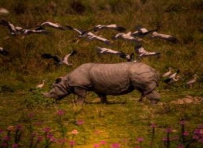 ASSAM – MEGHALAYA- KAZIRANGA 6 NIGHTS / 7 DAYS