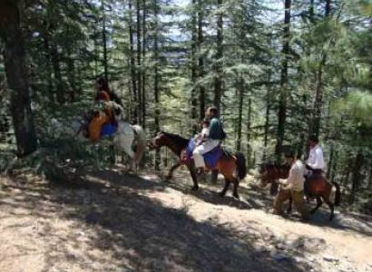 Shimla Manali Package from Chandigarh