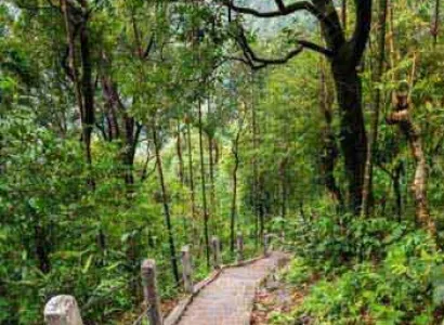 Assam Meghalaya Agartala Manipur Nagaland Tour