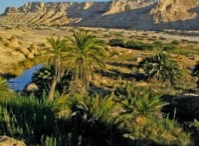 Oman Tour