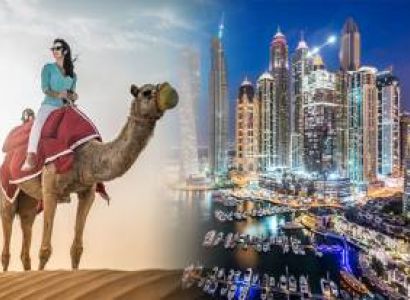 Fantastic Dubai Tour