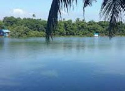 Rejuvenating Kerala Ayurveda Tour