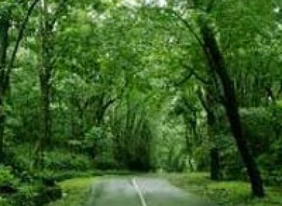 3 Days Wayanad Tour with Vythiri Tree house