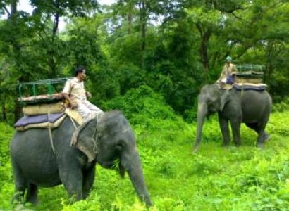Jaldapara & Garumara Standard Tour Package