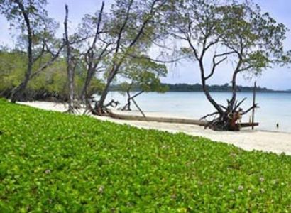 Romance in Andaman Tour