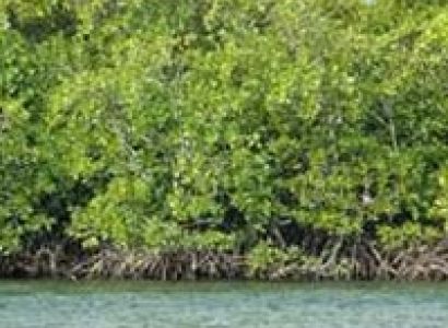 Port Blair Island Tour
