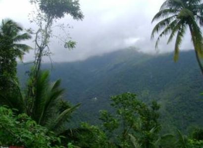 Munnar – Thekkady – Alleppey – Kumarakom – Kovalam Tour