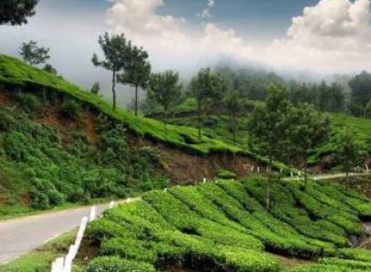 Munnar – Thekkady – Alleppy – Kumarakom Tour