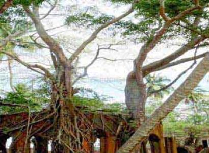 Andaman and Nicobar Tour