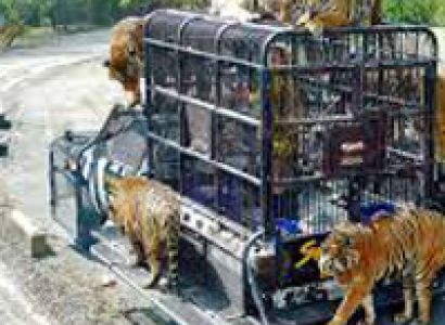 Simply Thailand Tour