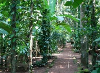 Monson Splash in Goa Trip Tour