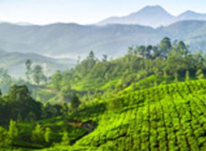 Captivating Kerala Tour