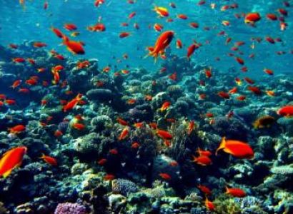 Thailand Tour Package